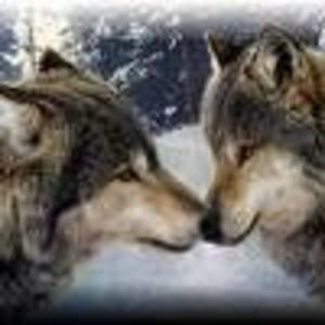 Meet your Posher, Beverley